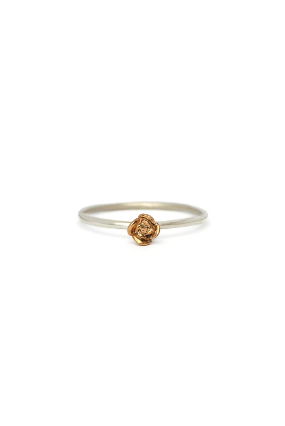 Anillo Echeveria Lola S