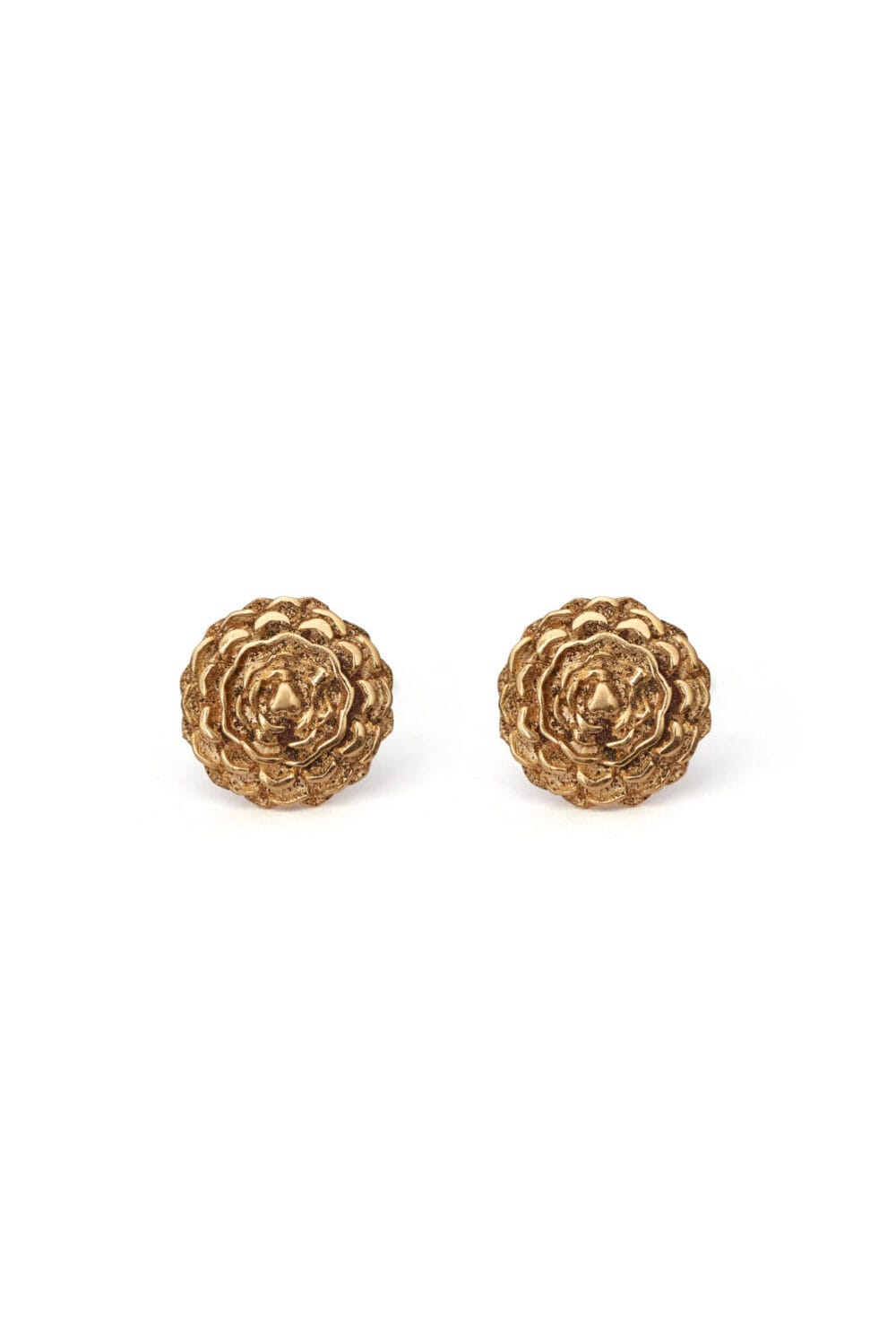 Aretes rosa de jericó