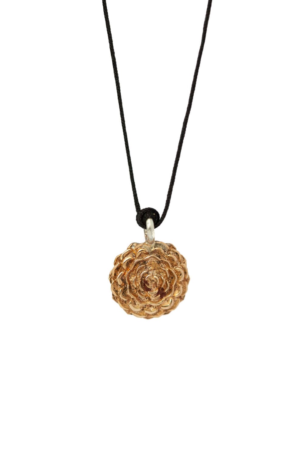 Collar dije rosa de jericó